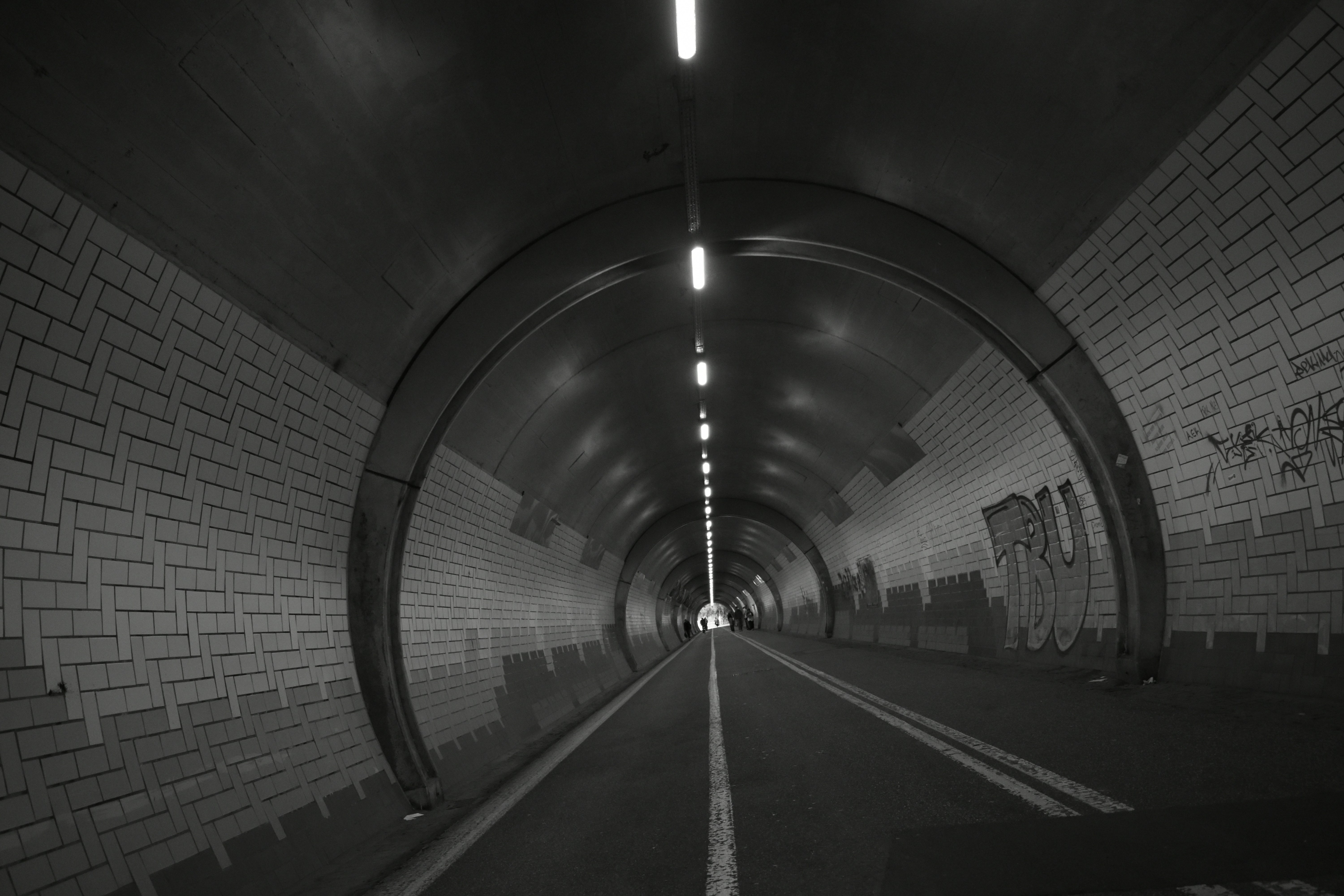 Photo by contracrostipunctus