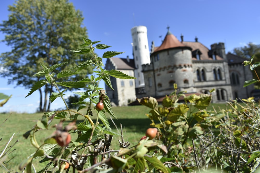 a large house with a tower in the background