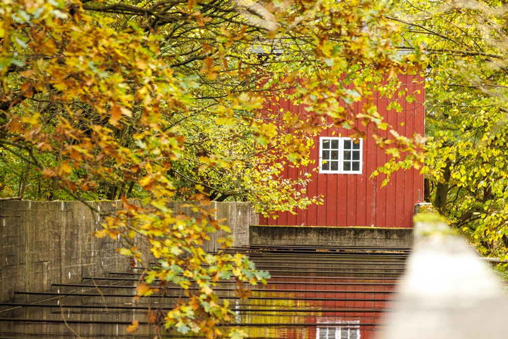 a red building with a white window in a wooded area