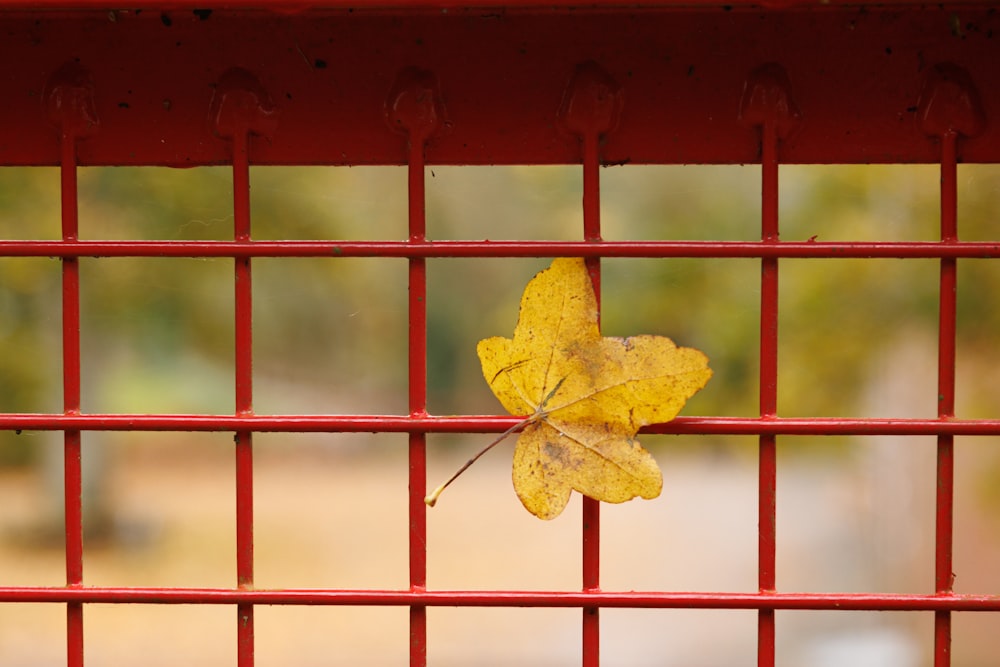 a yellow leaf sitting on top of a red fence