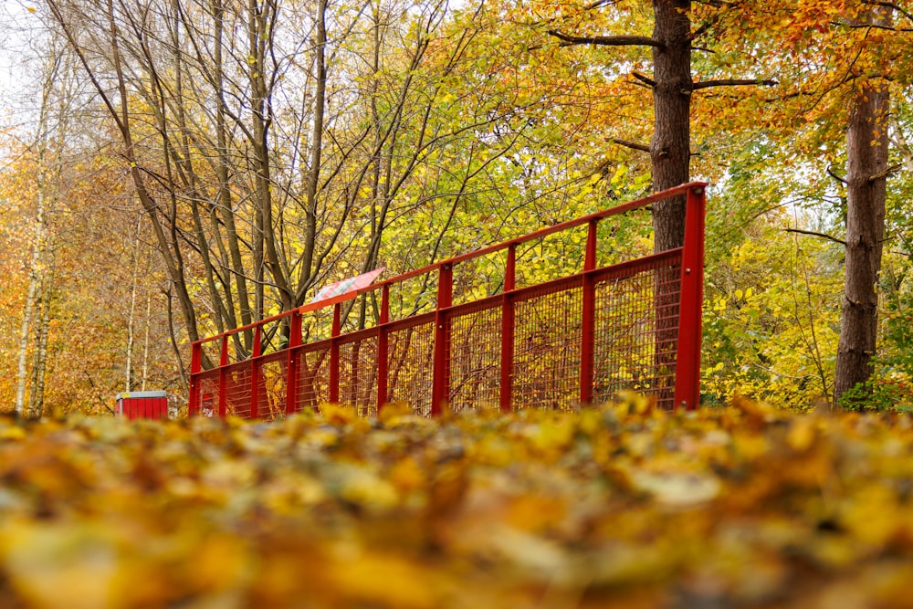 a red gate in the middle of a forest