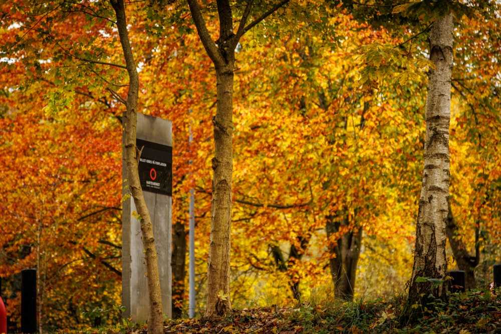 a red fire hydrant sitting in the middle of a forest