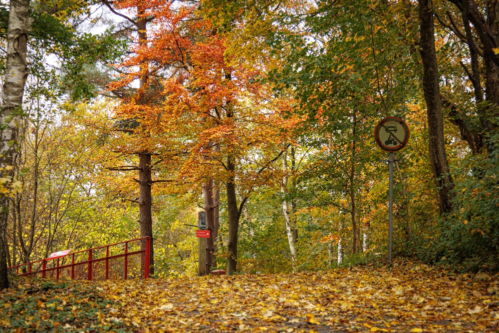 a red fence surrounded by trees and leaves