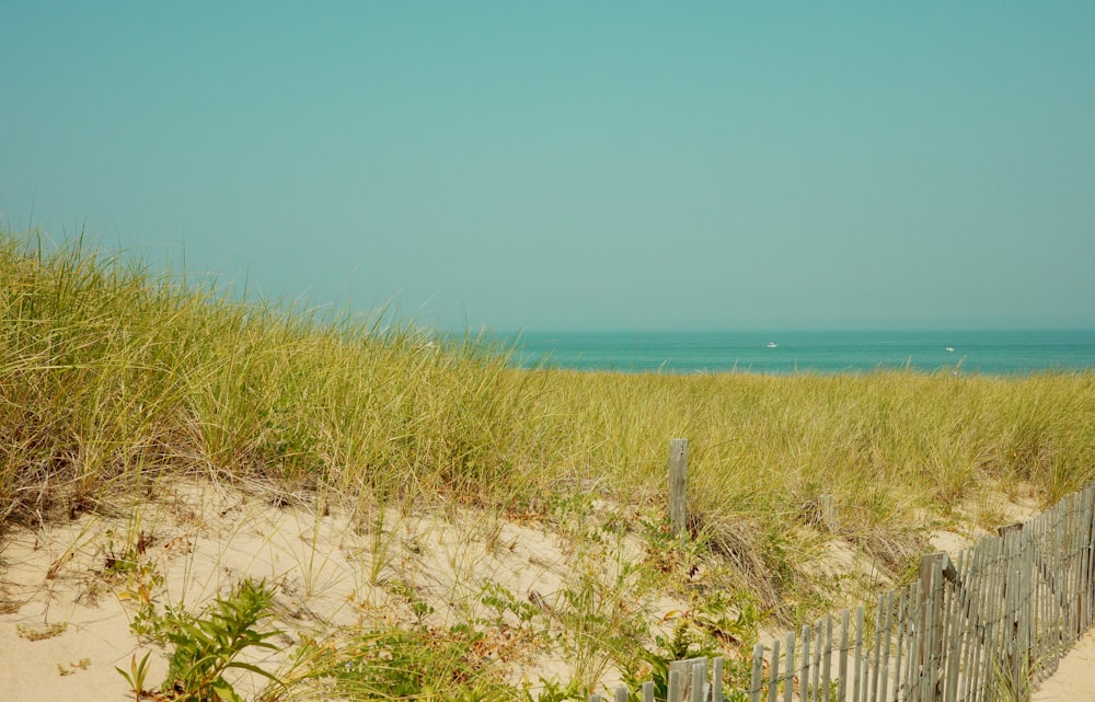 a fence on a beach near a grassy area