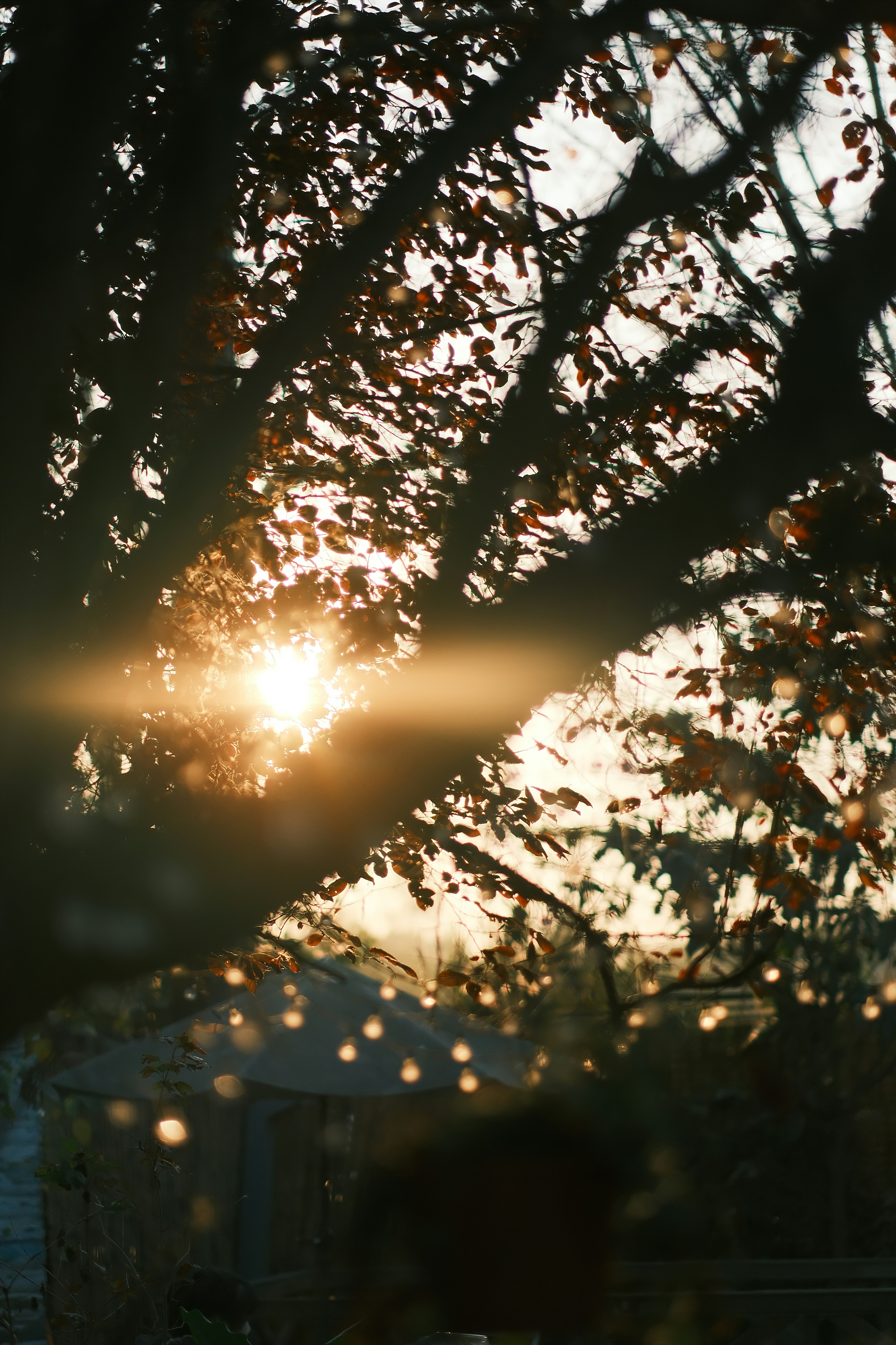 Photo by maycloudbackup