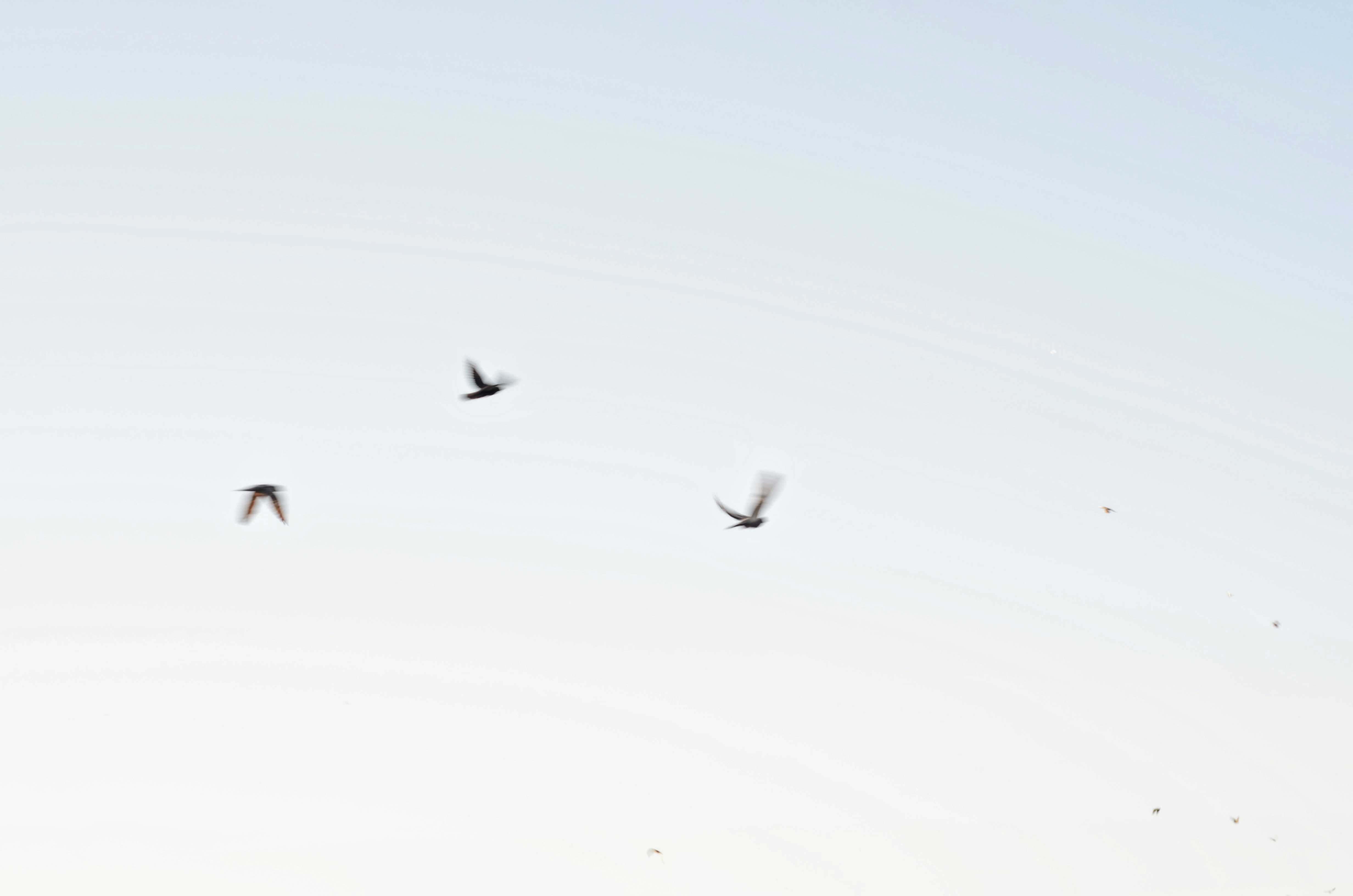 Powerful Smedley Butler Quotes That Will Shock & Inspire