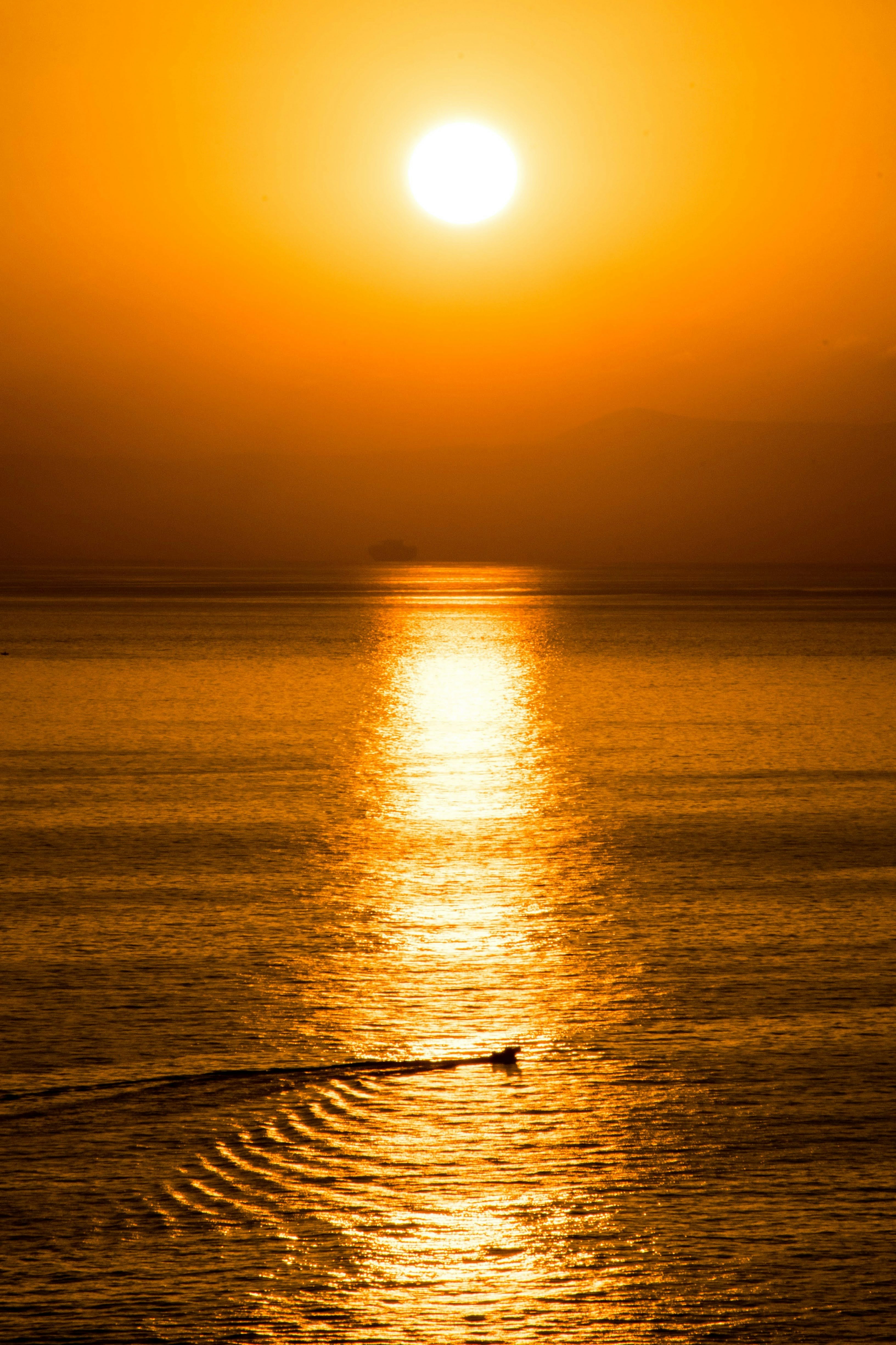 Photo by tobyjay2010