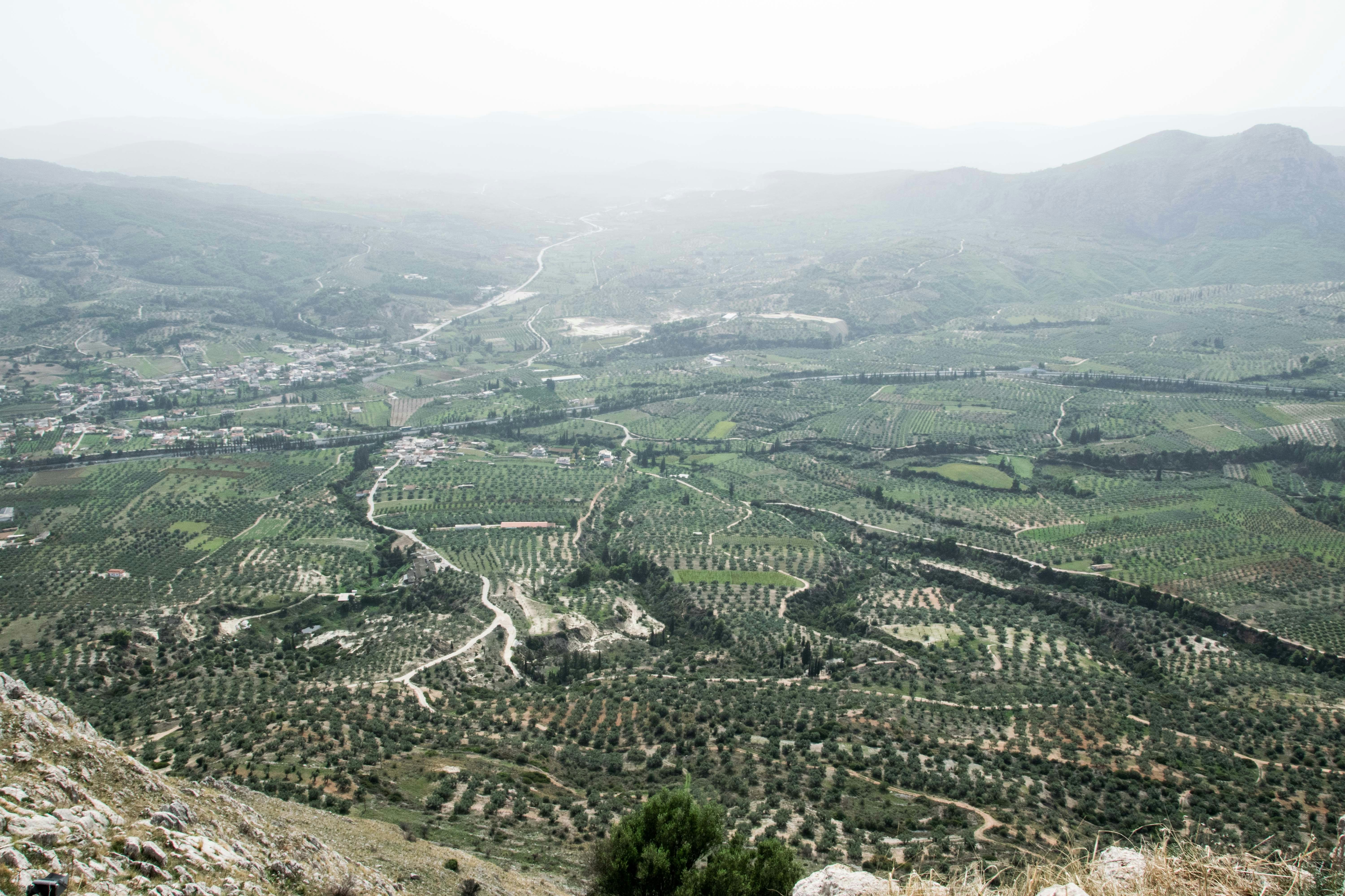 an aerial view of a valley with trees and mountains in the background