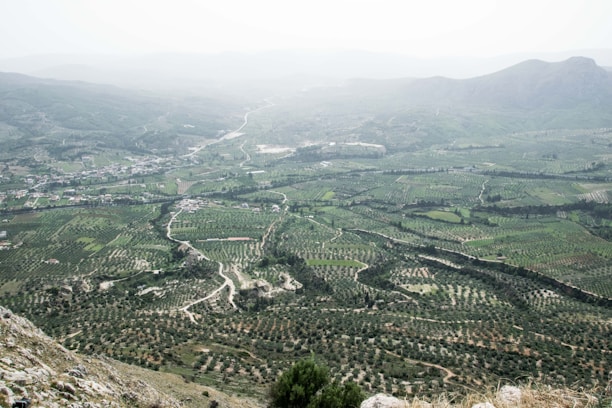 Panoramic view of a large agricultural estate with varied terrain.