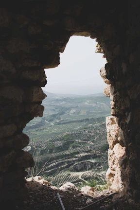 The iconic Pravčická Gate arching over a lush green valley in Bohemian Switzerland.