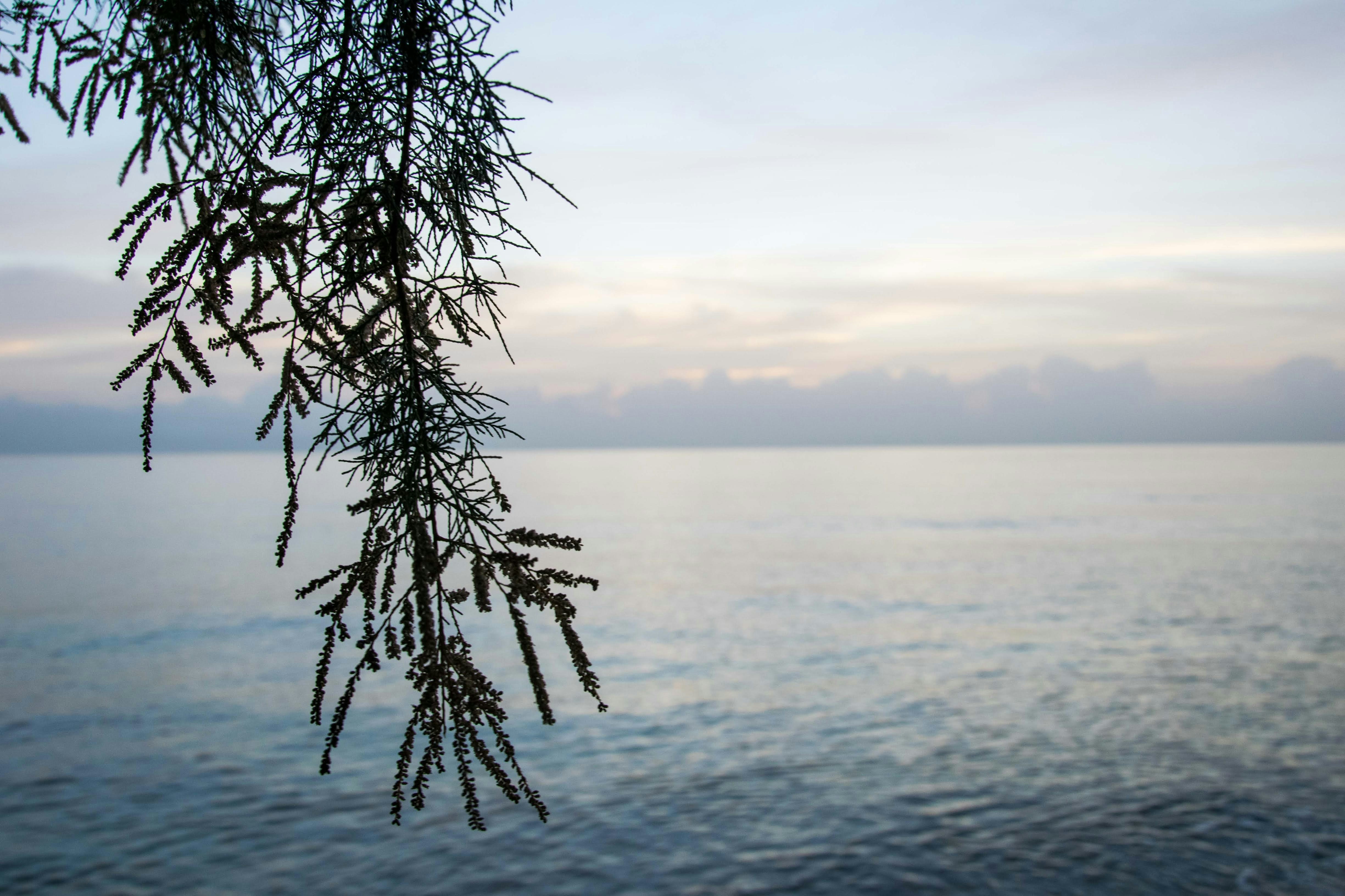 Photo by tobyjay2010