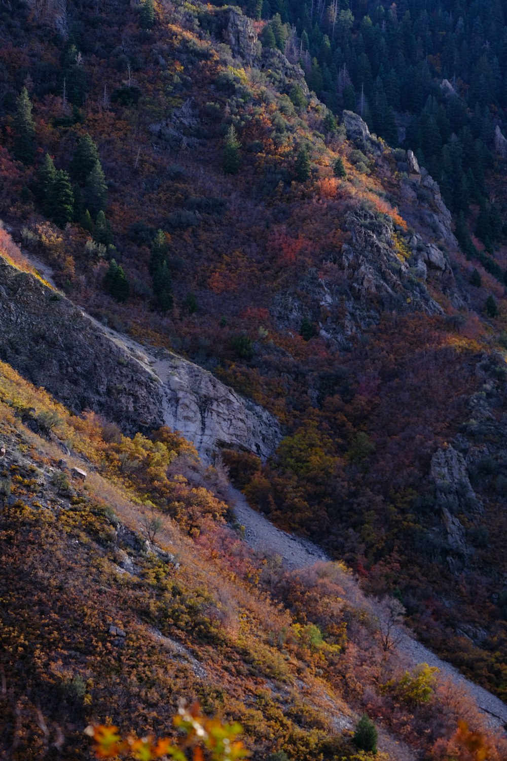 a mountain side with a few trees on the side of it