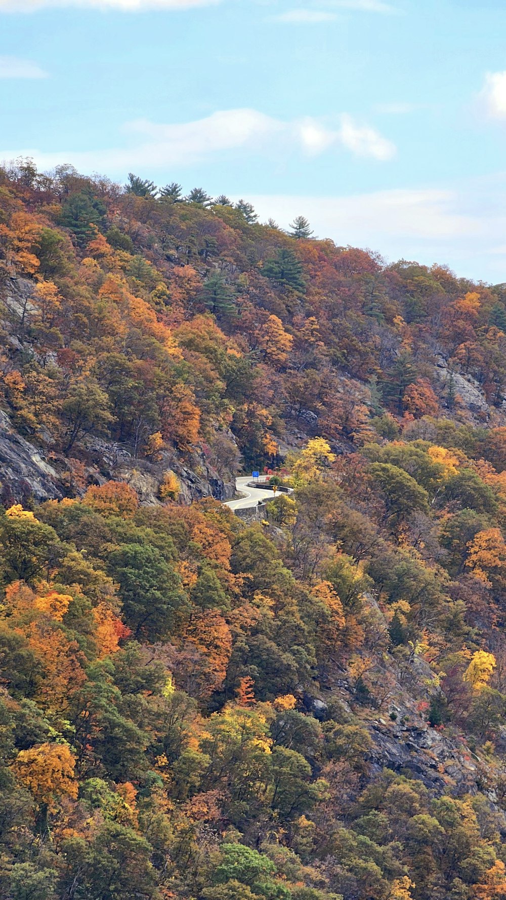 a scenic view of a mountain covered in trees