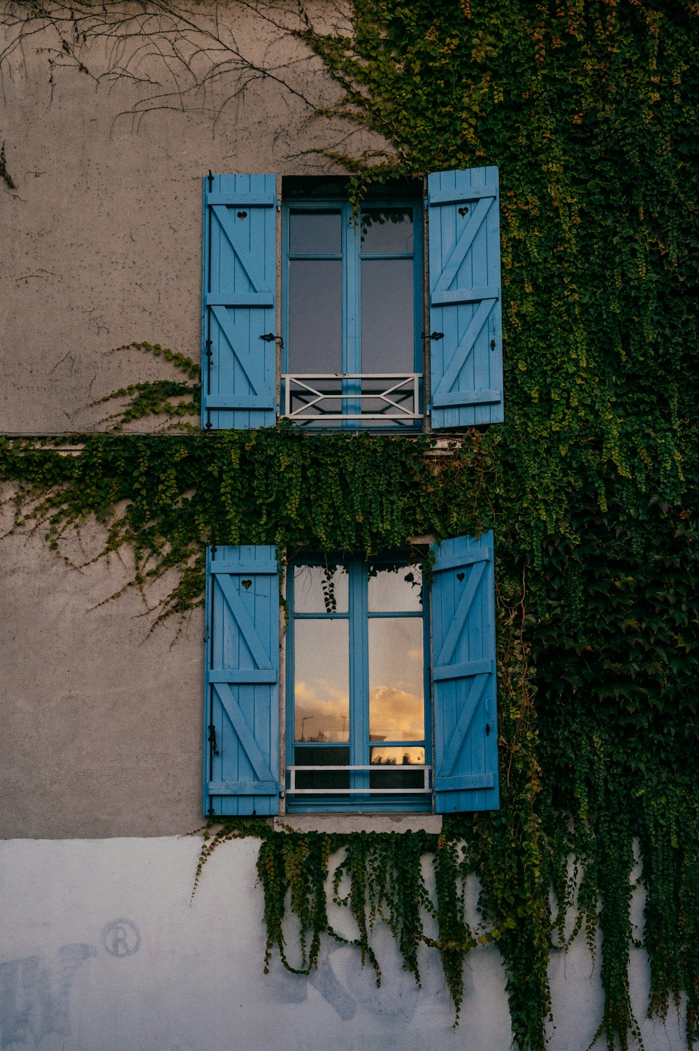 a window with blue shutters and vines growing on the side of a building
