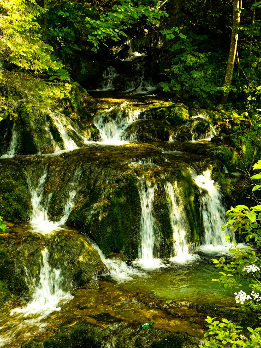 a small waterfall in the middle of a forest