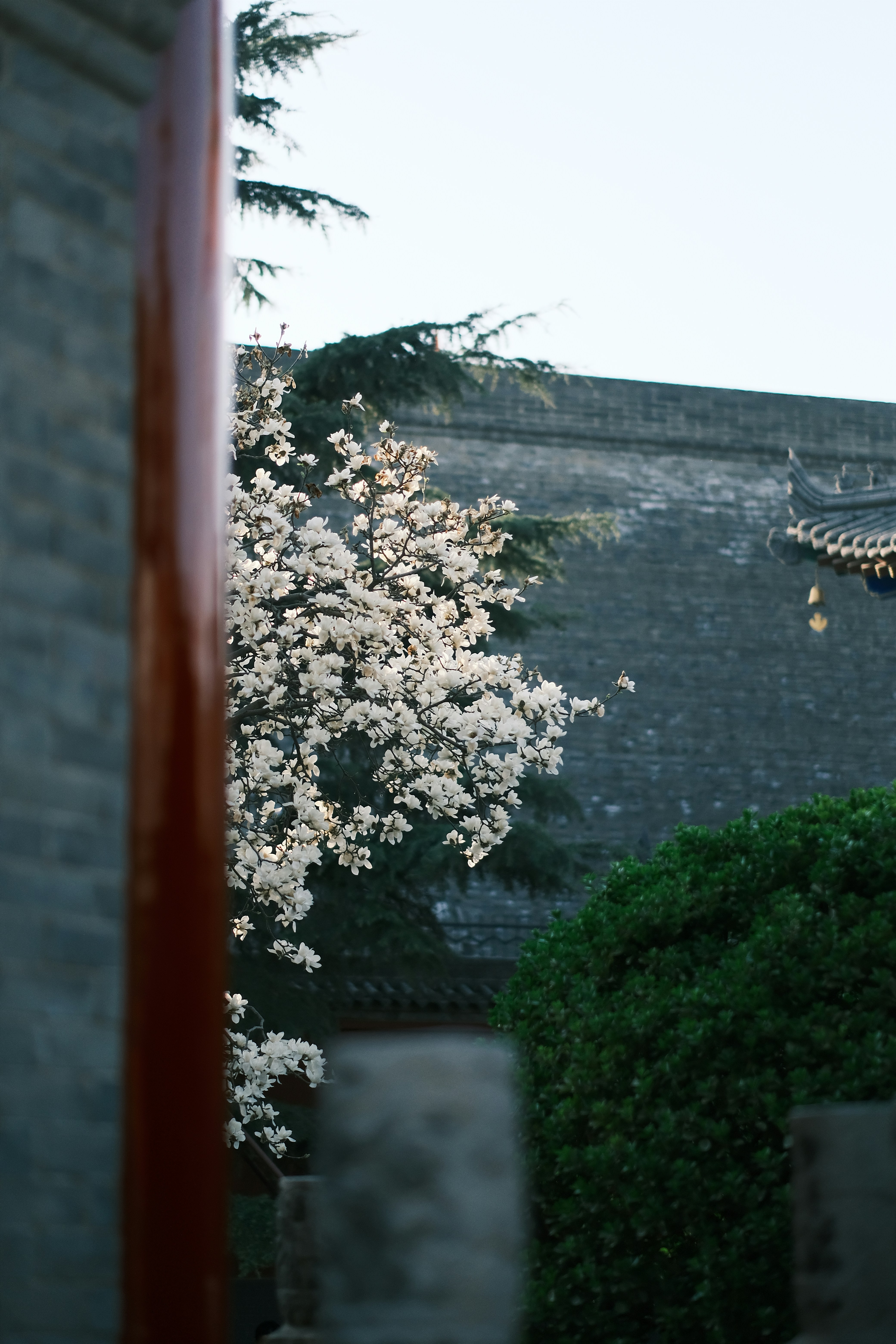 Photo by maycloudbackup