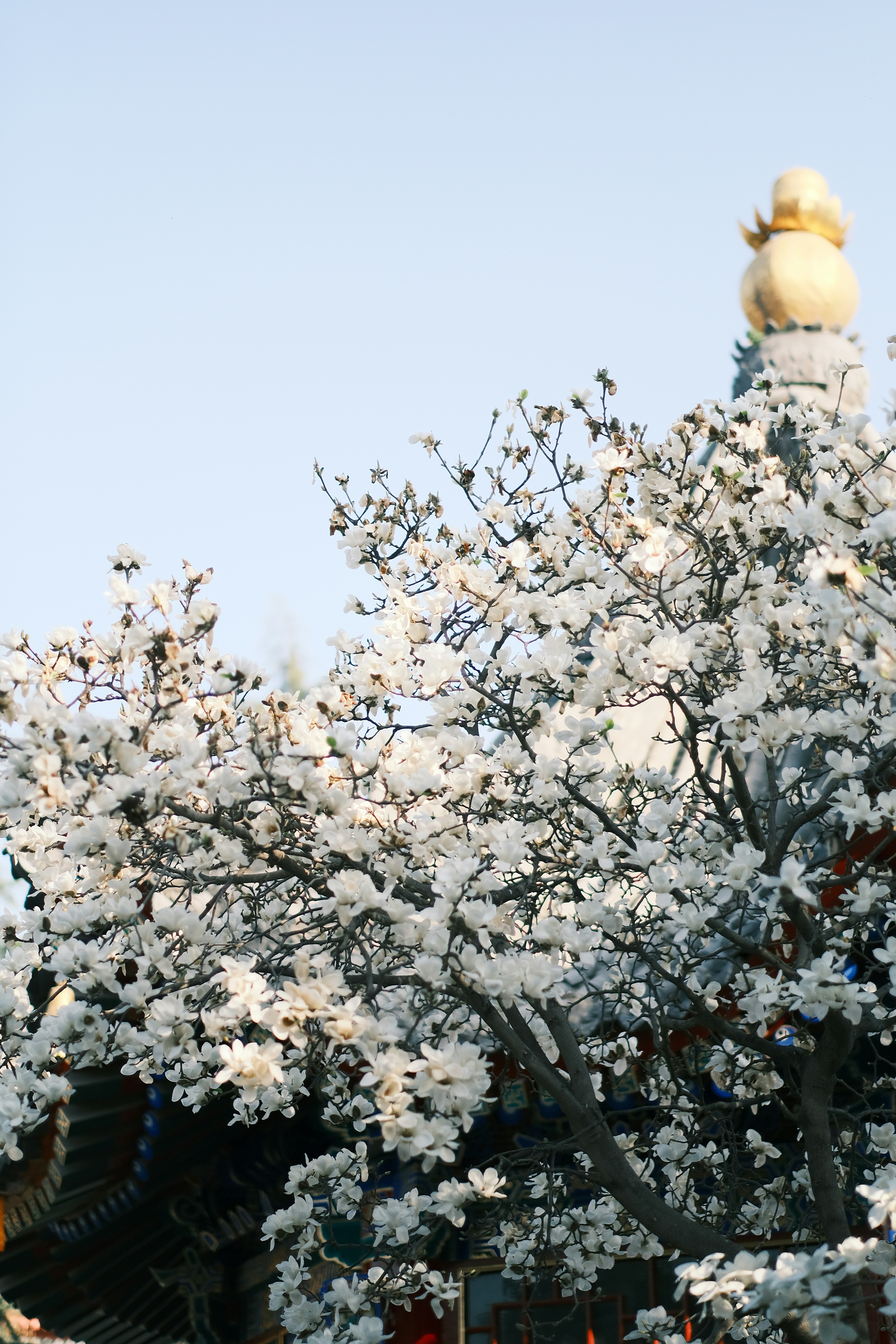 Photo by maycloudbackup