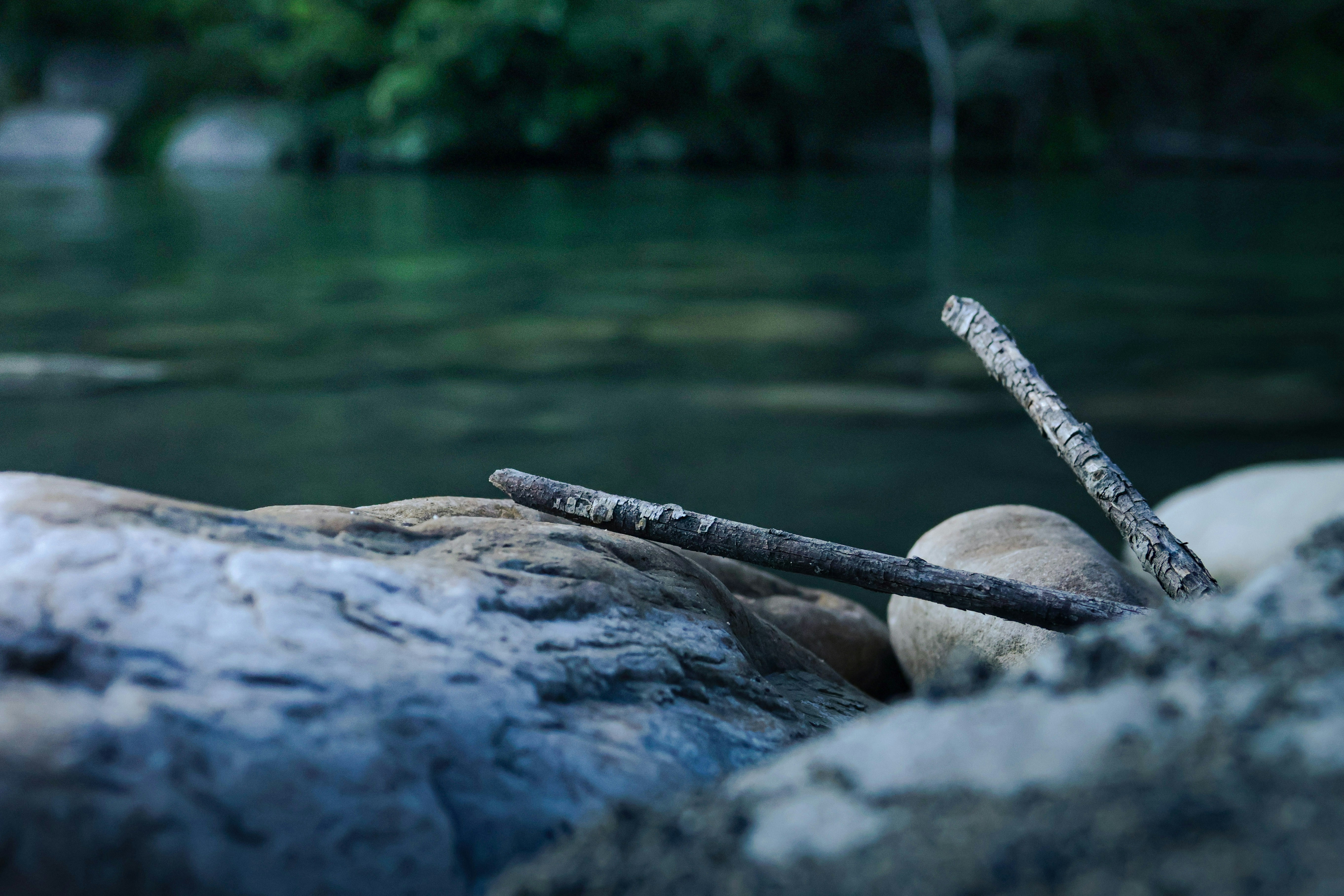 A Life Measured in Sticks