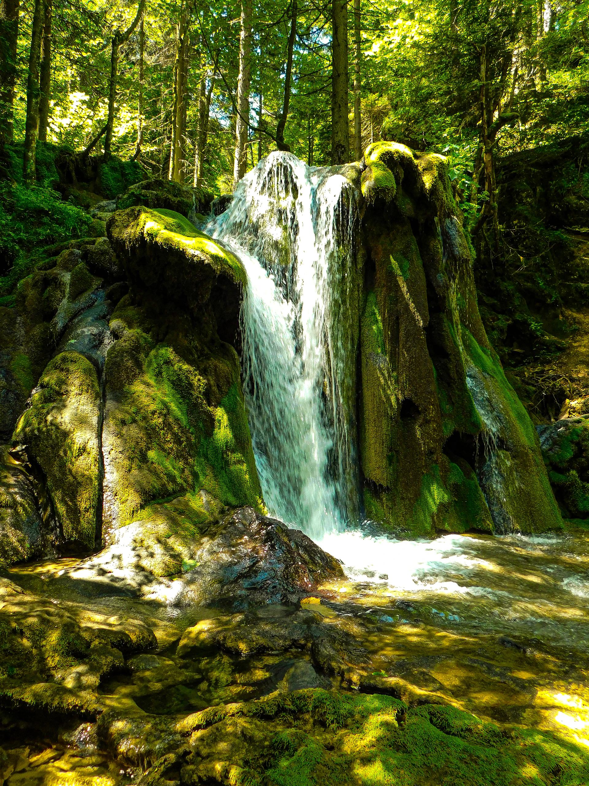 gray computer monitor