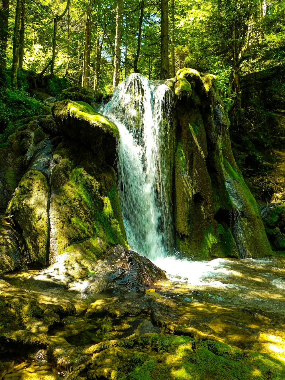 a small waterfall in the middle of a forest