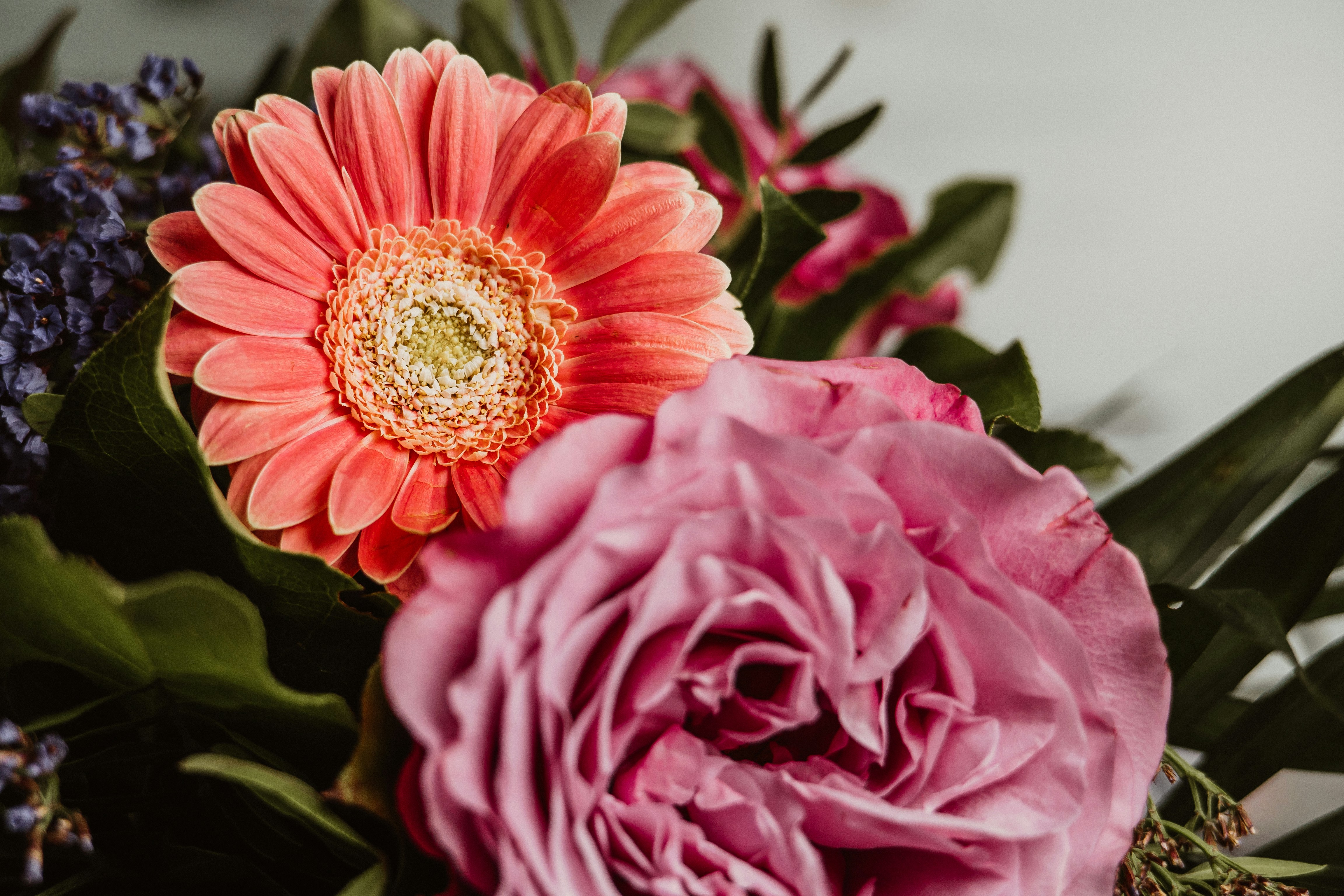 Photo by masoodaslami