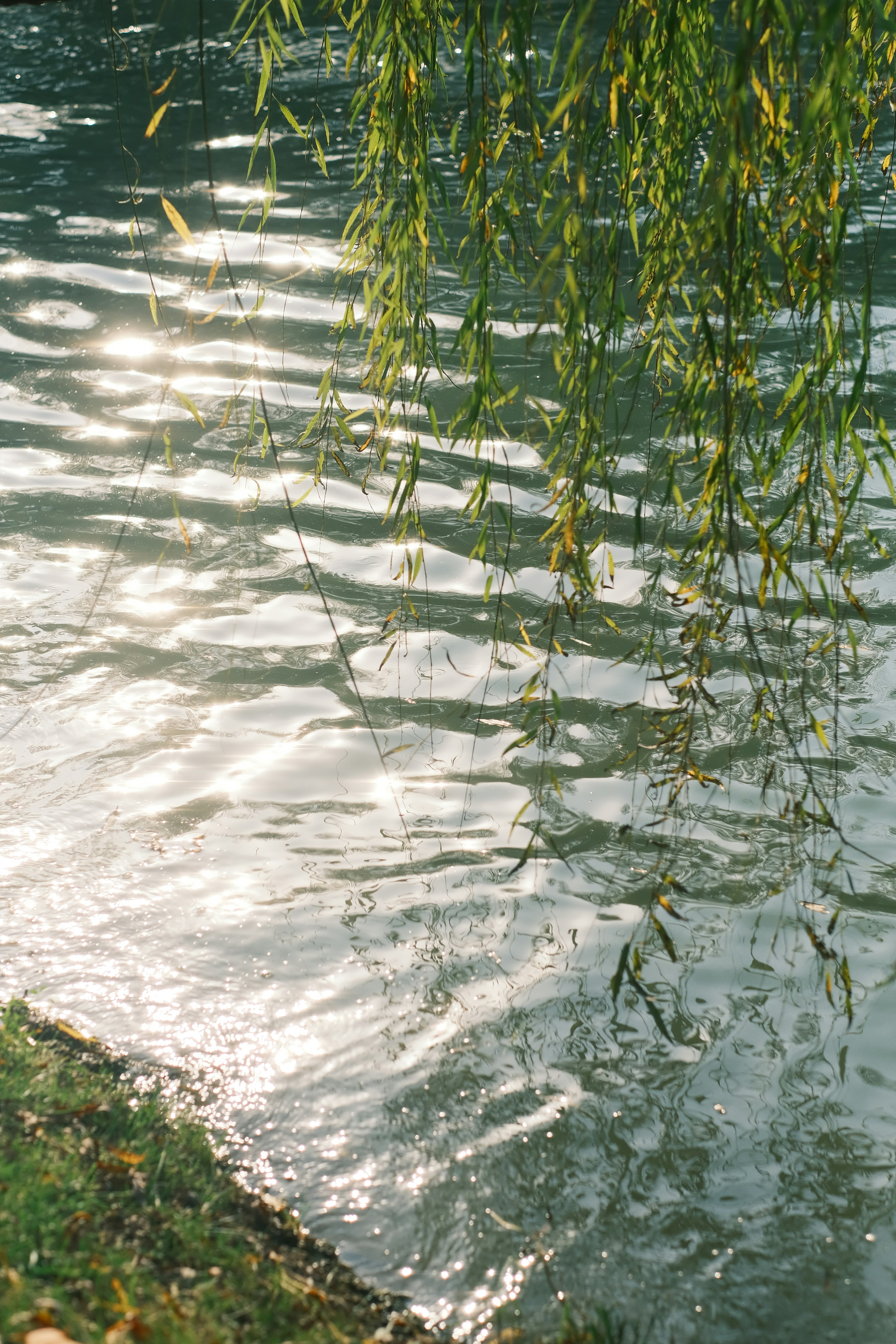 Photo by maycloudbackup