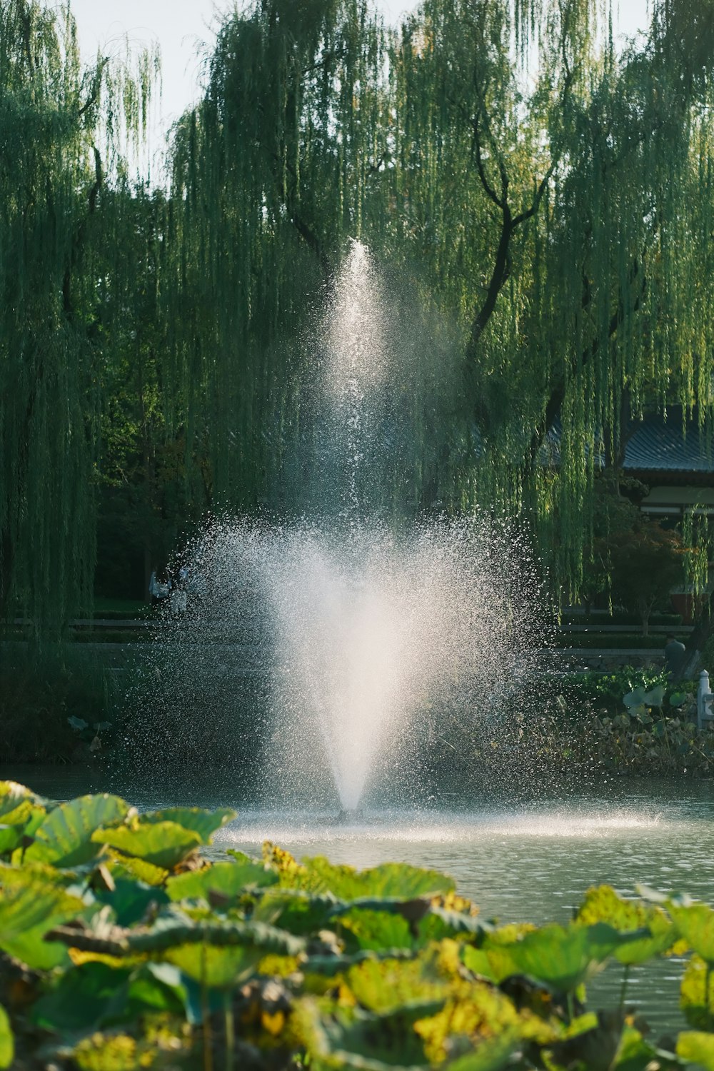 a fountain spewing water into a pond surrounded by trees