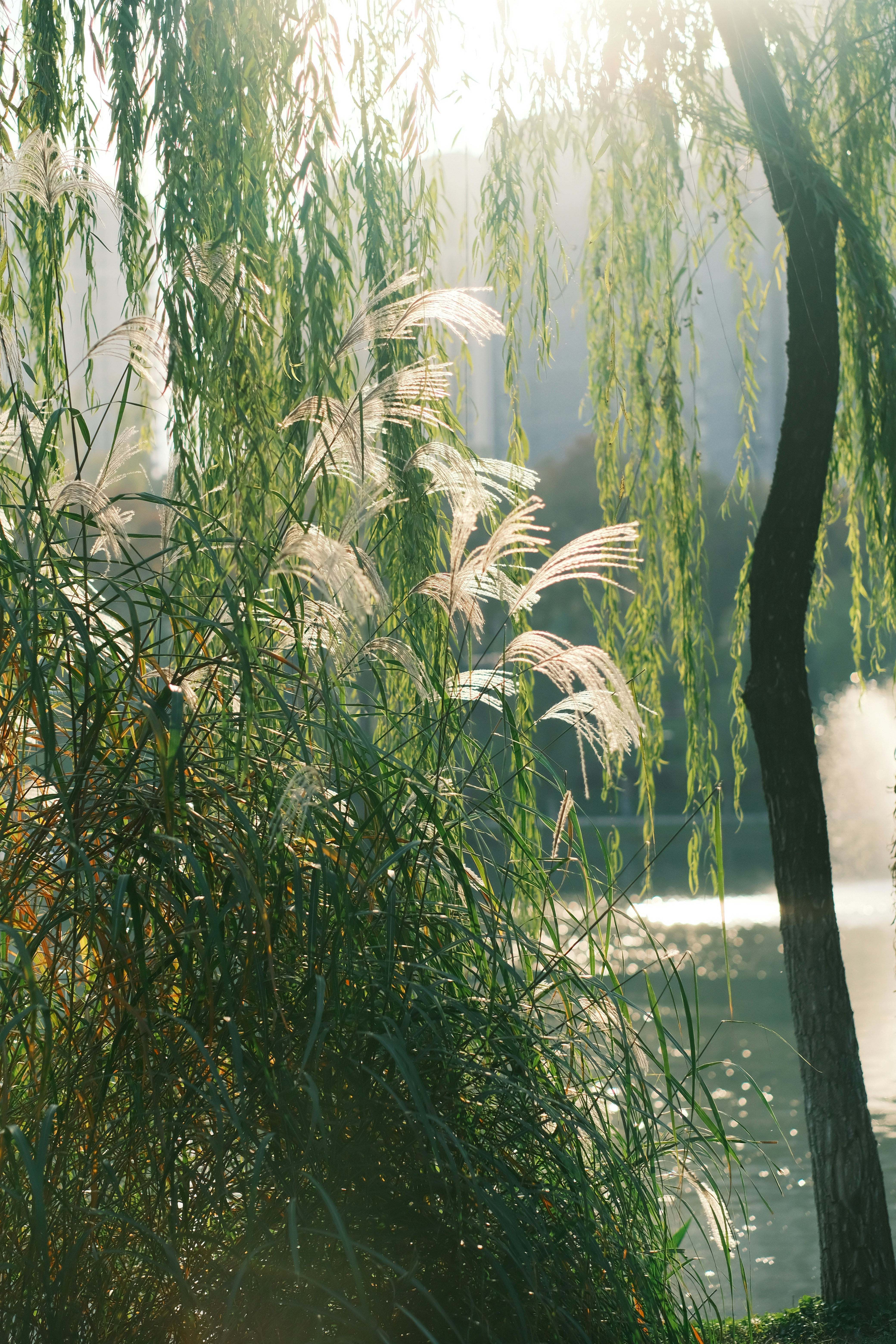 Photo by maycloudbackup