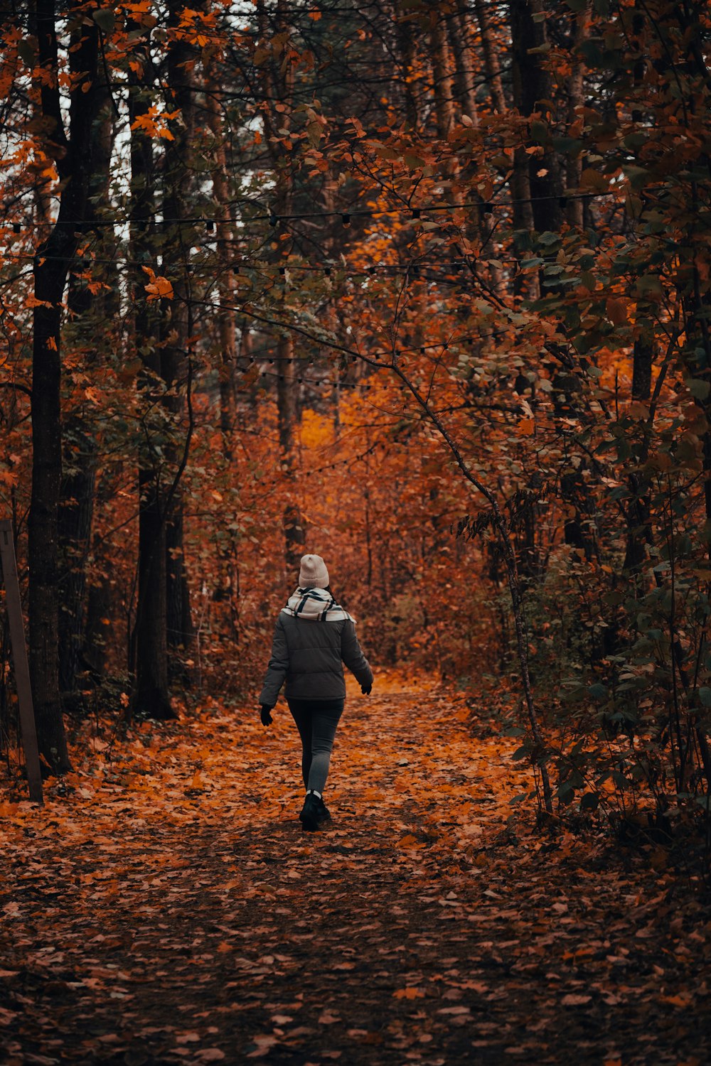 a woman walking through a forest in the fall