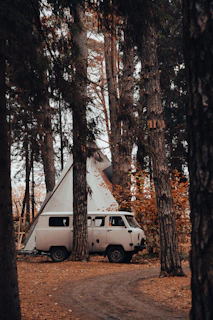 A solitary van parked among tall forest trees with a man preparing a campfire nearby.