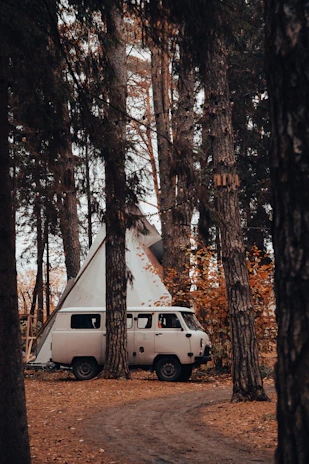 A solitary van parked among tall forest trees with a man preparing a campfire nearby.