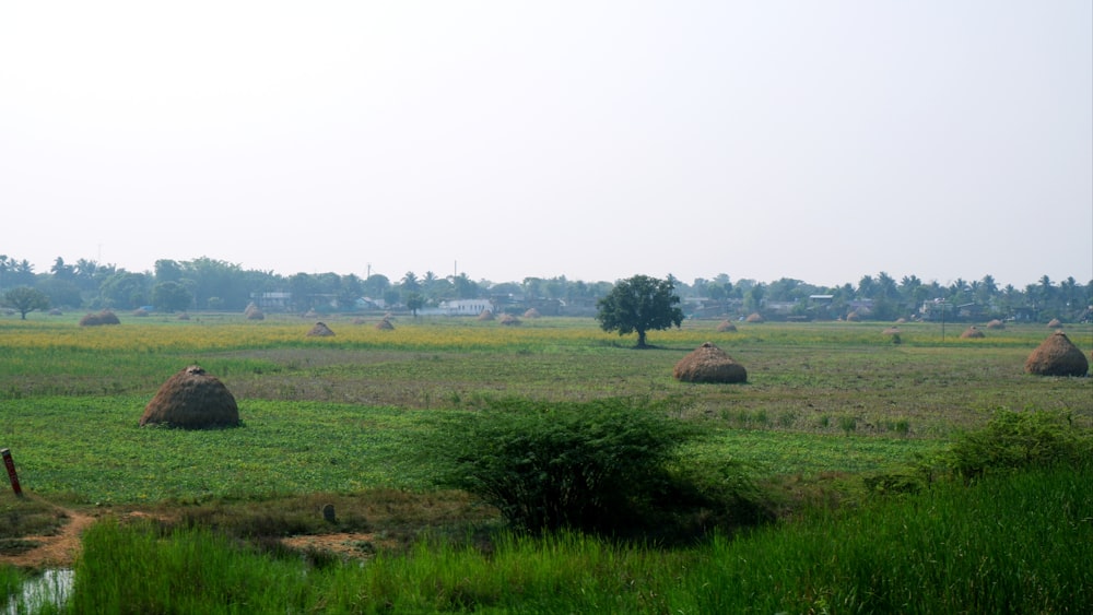 a field with hay bales in the distance