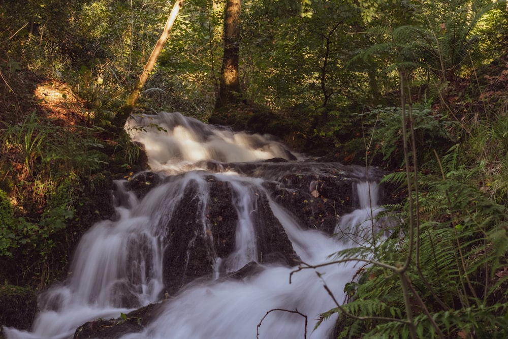 a small waterfall in the middle of a forest