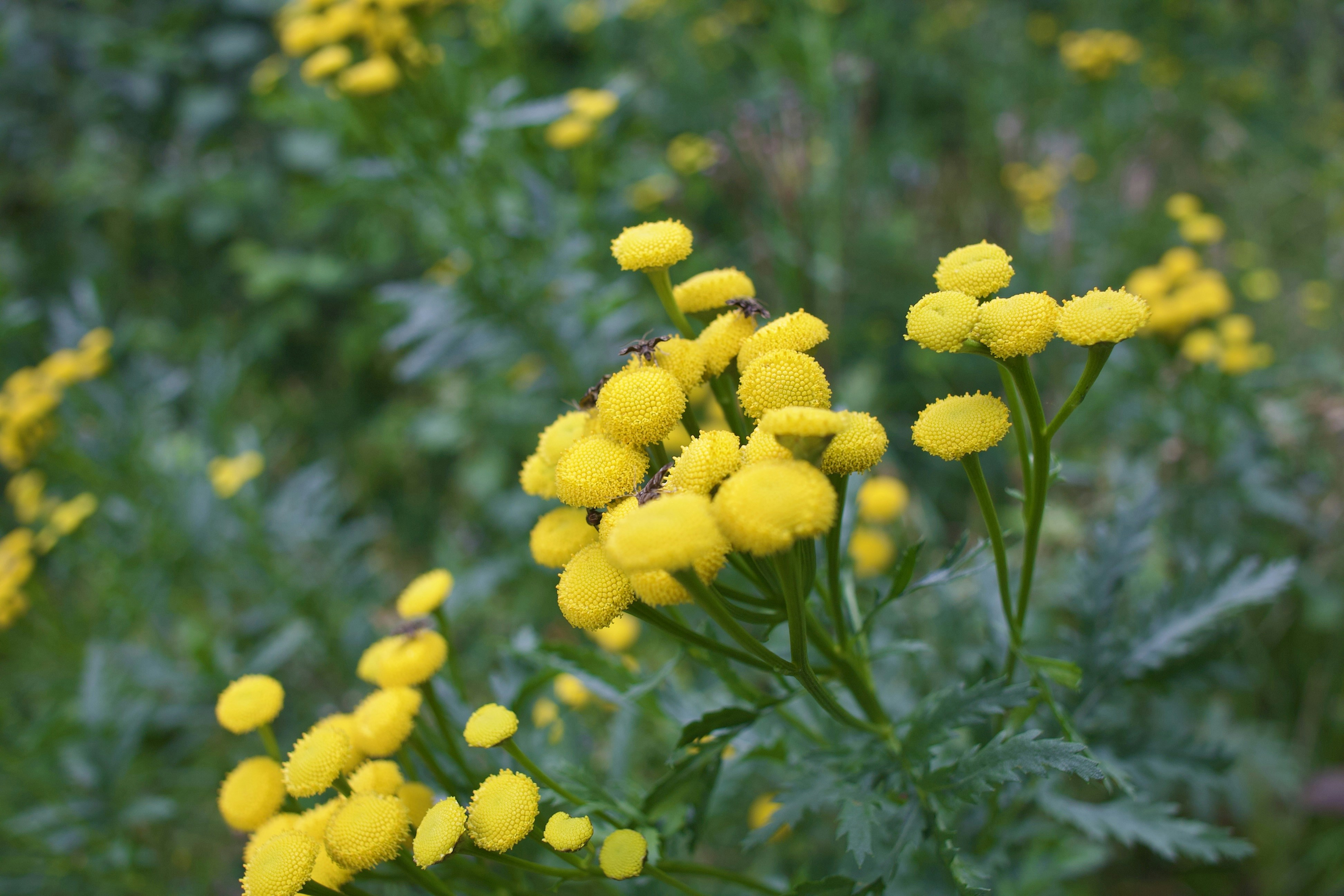 Photo by stockbirken