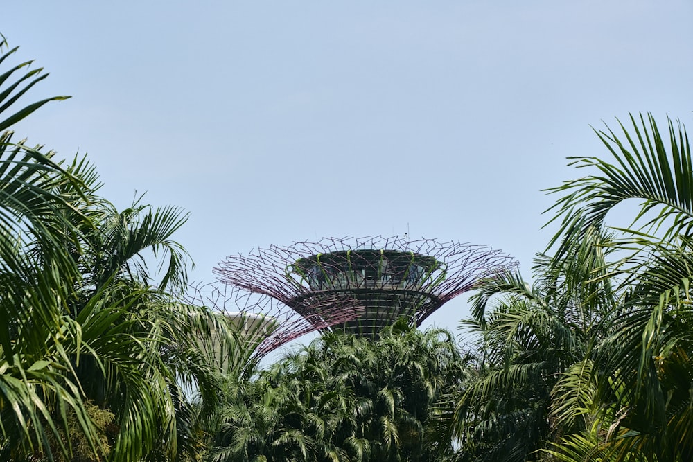 a view of the top of a tree covered structure