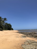 A serene beach with crystal clear waters and soft golden sands.