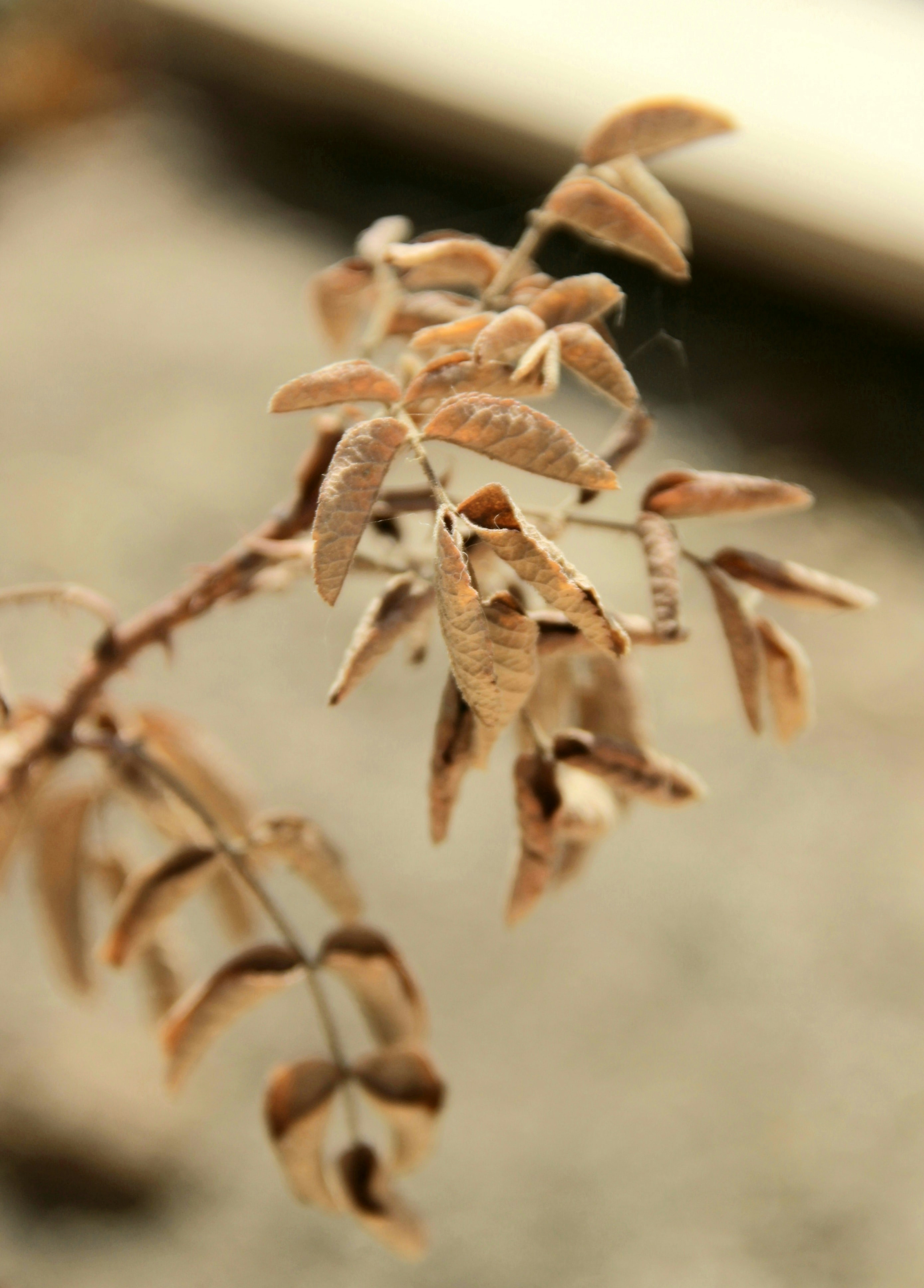 Photo by paris_nature_photo