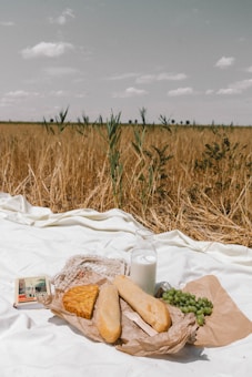 A picnic setup on a white fabric spread across a field, featuring a bottle of milk, a loaf of bread, a slice of pie, and a bunch of grapes. A rustic basket and a book are also present, all placed against a backdrop of tall, dry grass under a partly cloudy sky.