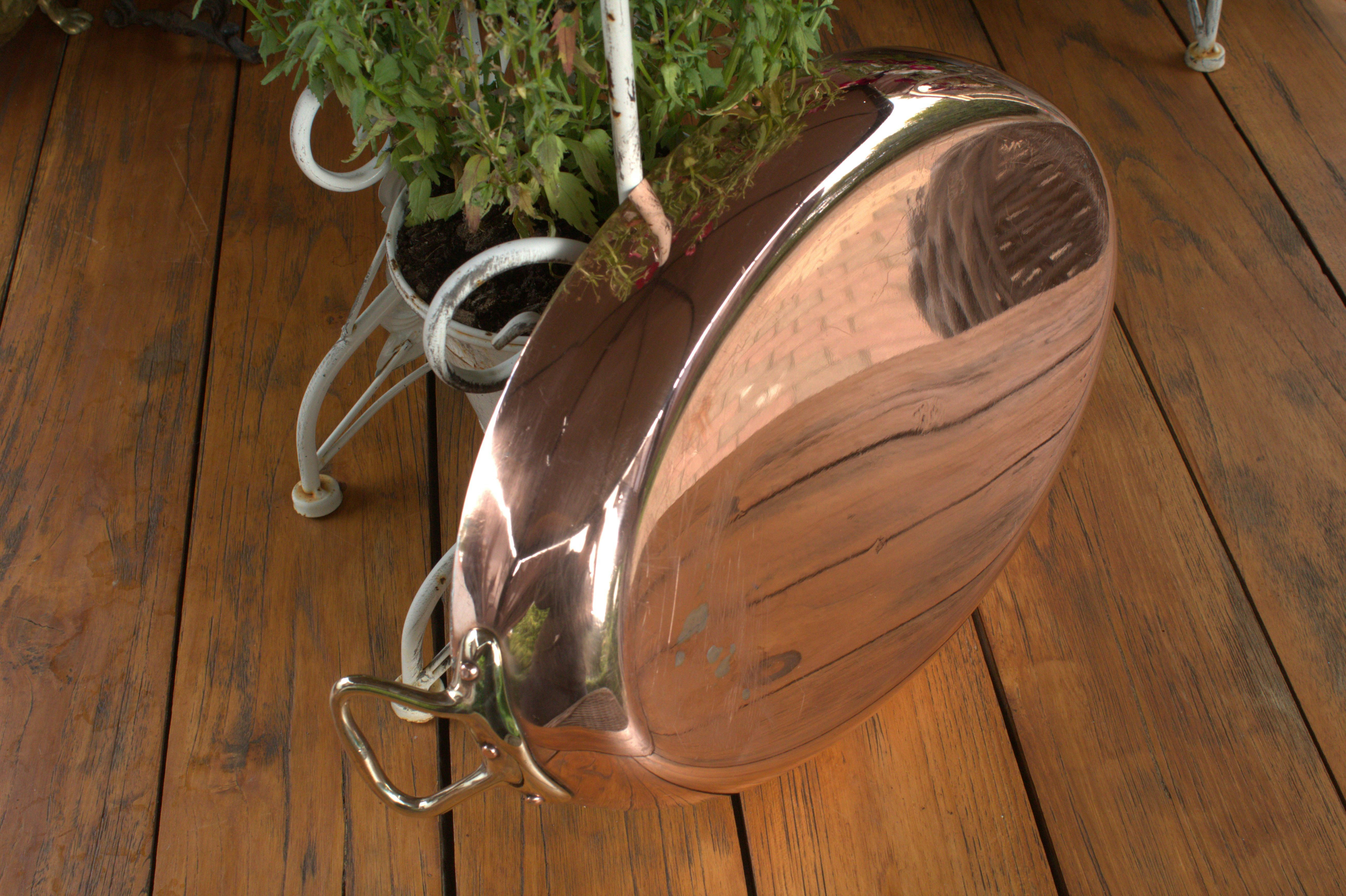a potted plant sitting on top of a wooden floor
