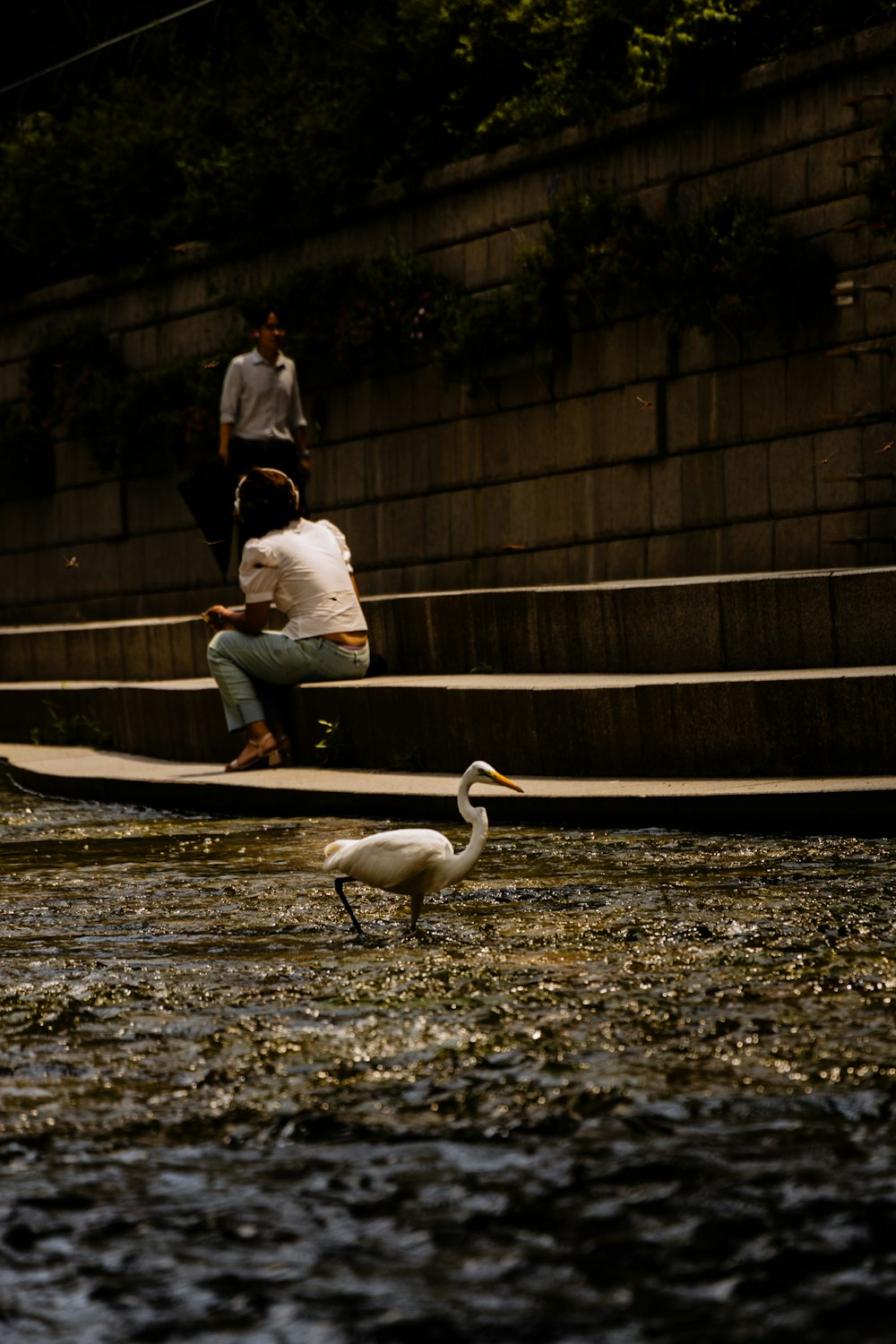 a couple of people sitting on steps next to a river