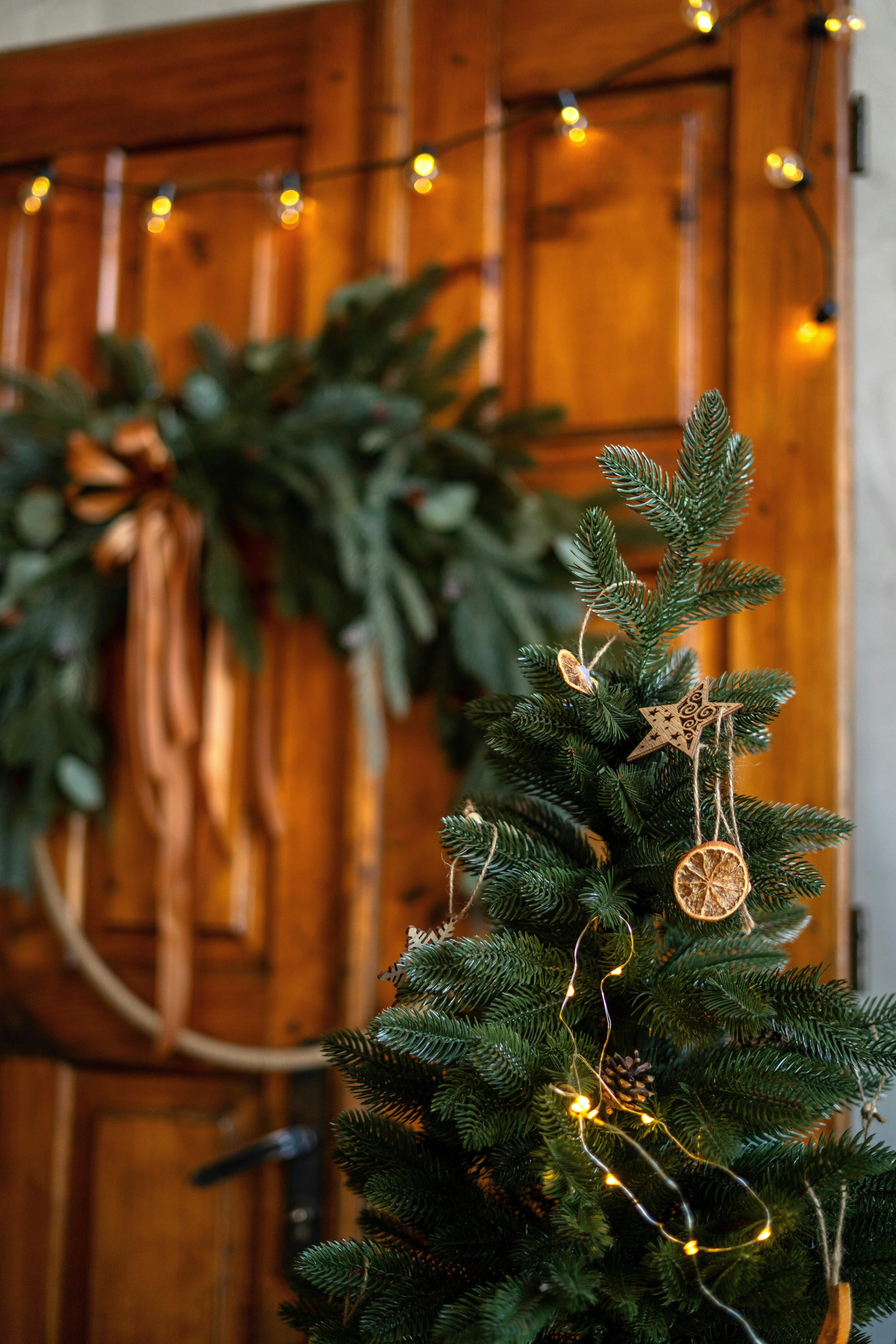 Photo by olenkasergienko