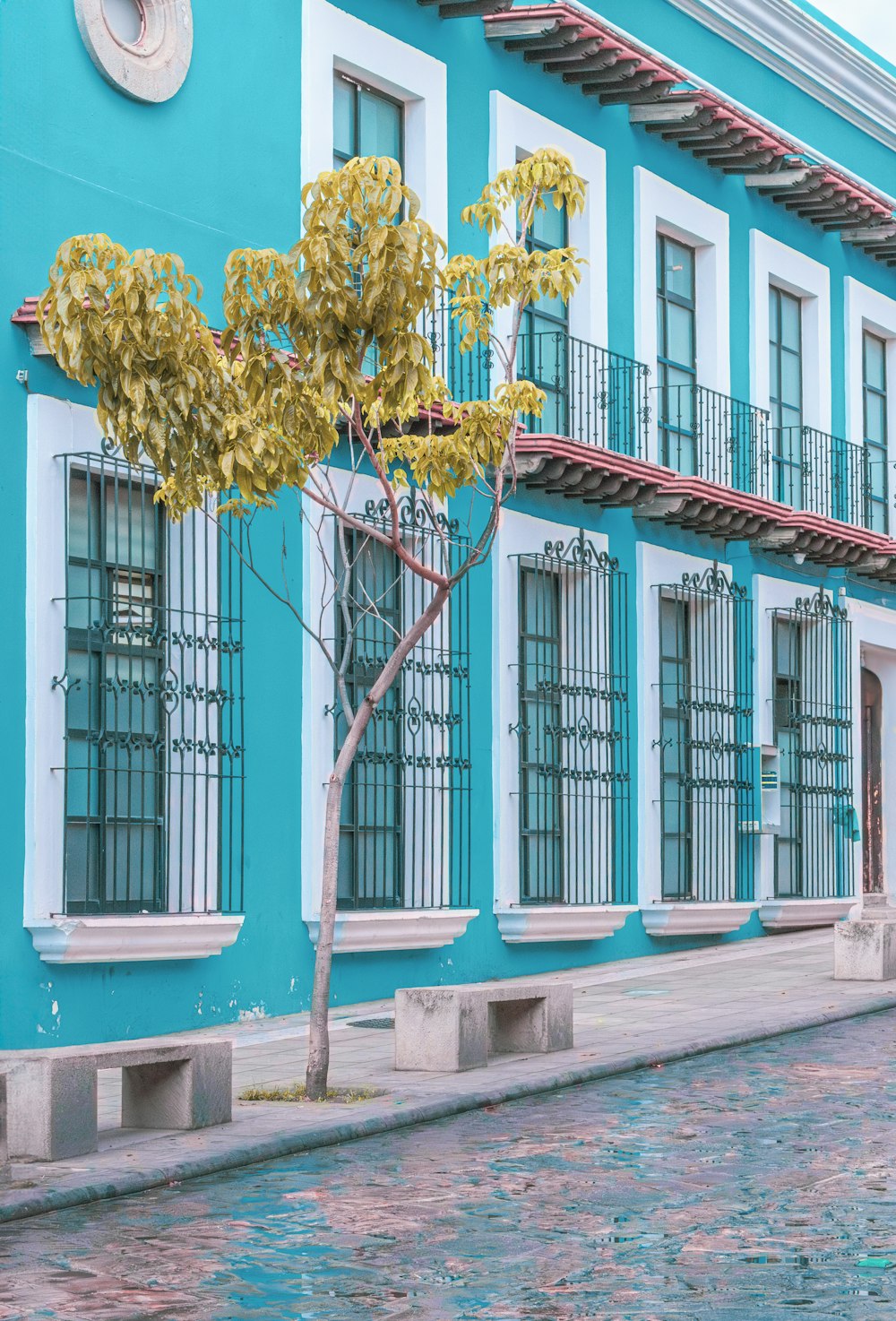 a blue and white building with a tree in front of it