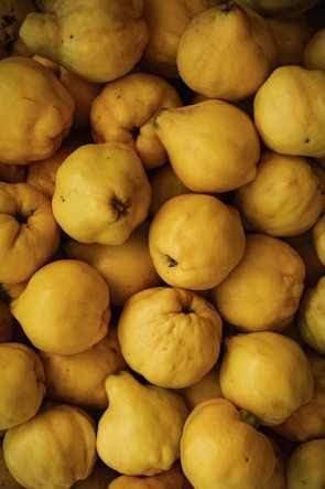 A close-up of fresh quinces used in the aperitif production.