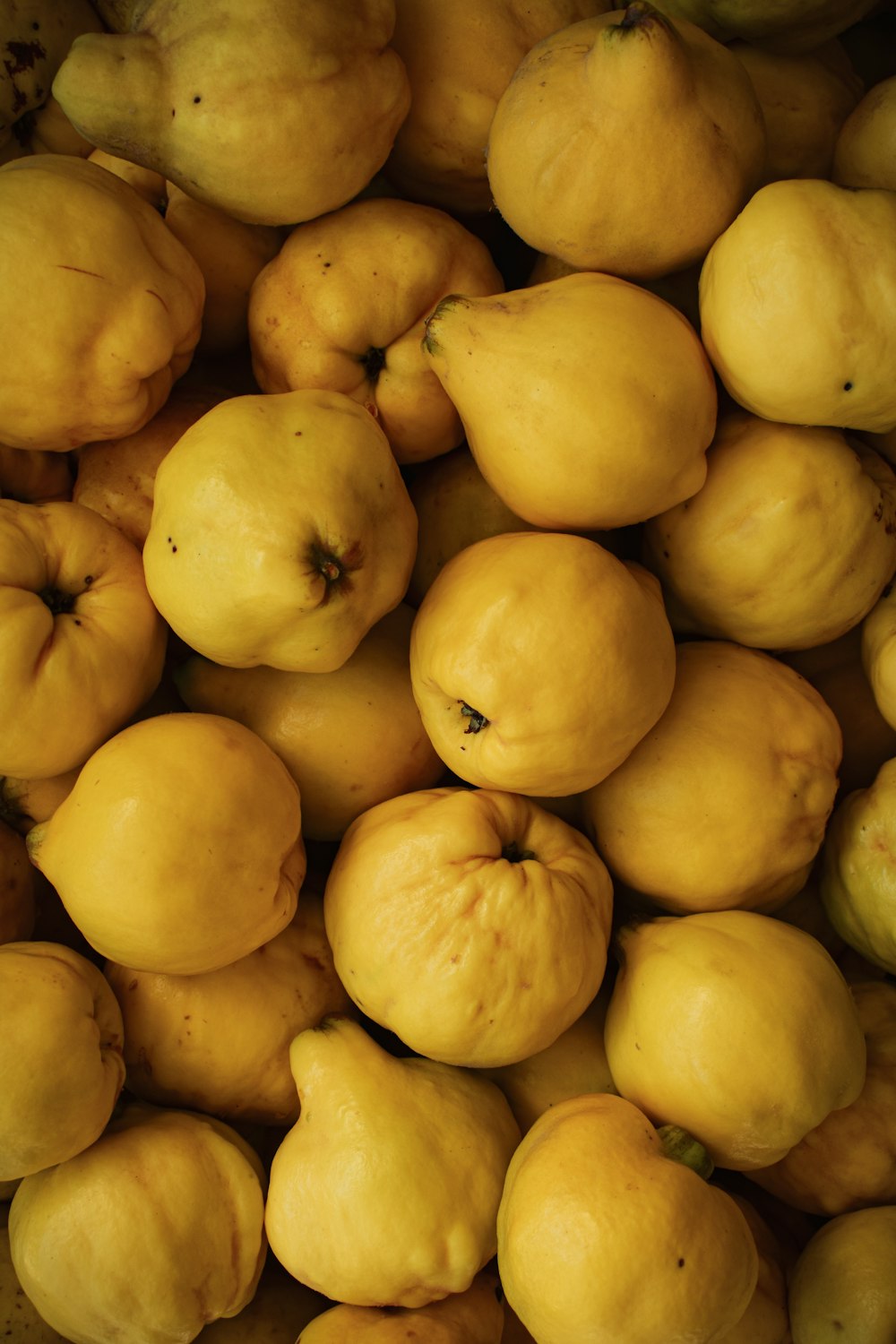 un montón de limones sentados uno al lado del otro