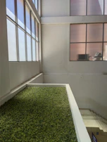 A bright room featuring a vertical garden wall with cascading ivy and flowering plants.