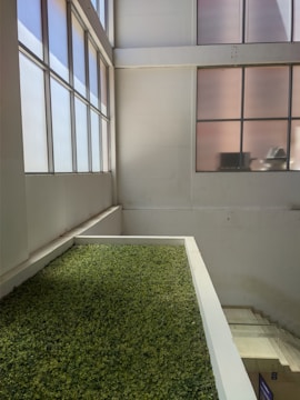 A creative vertical garden installation bringing life to an office area.