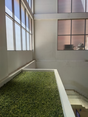 An indoor area with a large vertical garden wall covered in green foliage. The space is brightly lit by natural light coming through tall, frosted windows on the left and opposite walls. The walls are white, giving the area a clean and modern look. There are stairs visible on the right side leading to another level.