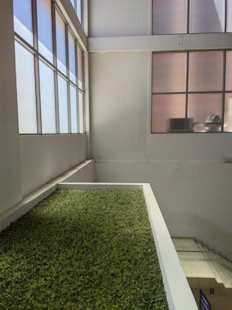 An indoor area with a large vertical garden wall covered in green foliage. The space is brightly lit by natural light coming through tall, frosted windows on the left and opposite walls. The walls are white, giving the area a clean and modern look. There are stairs visible on the right side leading to another level.