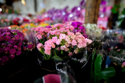 A colorful assortment of flowers arranged in bouquets. The foreground features vibrant pink flowers, while the background is filled with flowers in shades of purple, red, and white. The angle suggests a market or shop display, with a soft focus on the surrounding area.