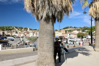 A vibrant photo of Cabo San Lucas downtown with professionals engaging in conversation near the marina.